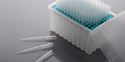 Picture of 20 ul Filter Univ Pip tips,Rack NFT0020-R-NS per box/96 