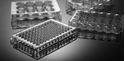 Picture of 384 Well Cell Culture Plate Flat bottom 761011