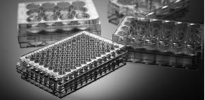 Picture of 384 Well Cell Culture Plate Flat bottom 761011