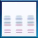 Picture of TLC-plates SILGUR-25 UV254, 20x20 810023