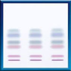 Picture of TLC-plates SILGUR-25 UV254, 20x20 810023