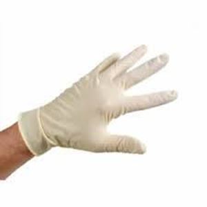 Picture of Latex Gloves powdered Large L332P-LARGE