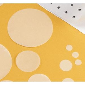 Picture of PCTE Membrane 10um 47mm K99CP04700