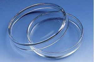 Picture of Glass Petri Dishes 80 x 15mm 1177-A