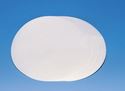 Picture of PVDF Memb Filter 0.45um 47mm HVLP04700