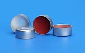 Picture of 13mm Silver Seal, 0.075" PTFE/Silicone Lined