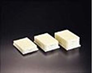 Picture of 0.5mL MTP System  ABS Plate with PTFE/Silicone/PTFE Liner, Cover & Glass 9x17mm Conical Vials