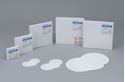 Picture of Glass Fibre Filter 42.5mm GA55 42.5mm