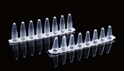 Picture of 0.2ml PCR 8-strip Tubes, white 403002
