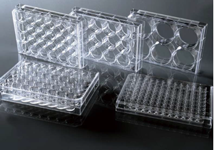Picture of 384 Well Cell Culture Plate Flat bottom 761601