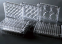 Picture of 384 Well Cell Culture Plate Flat bottom 761611