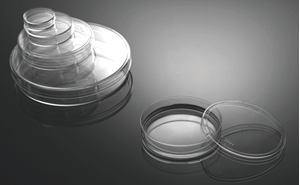 Picture of Petri Dish 150mm  715001