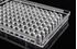 Picture of 96 Well Cell Culture Plate Non-Treated V-bottom 701211 per box/100